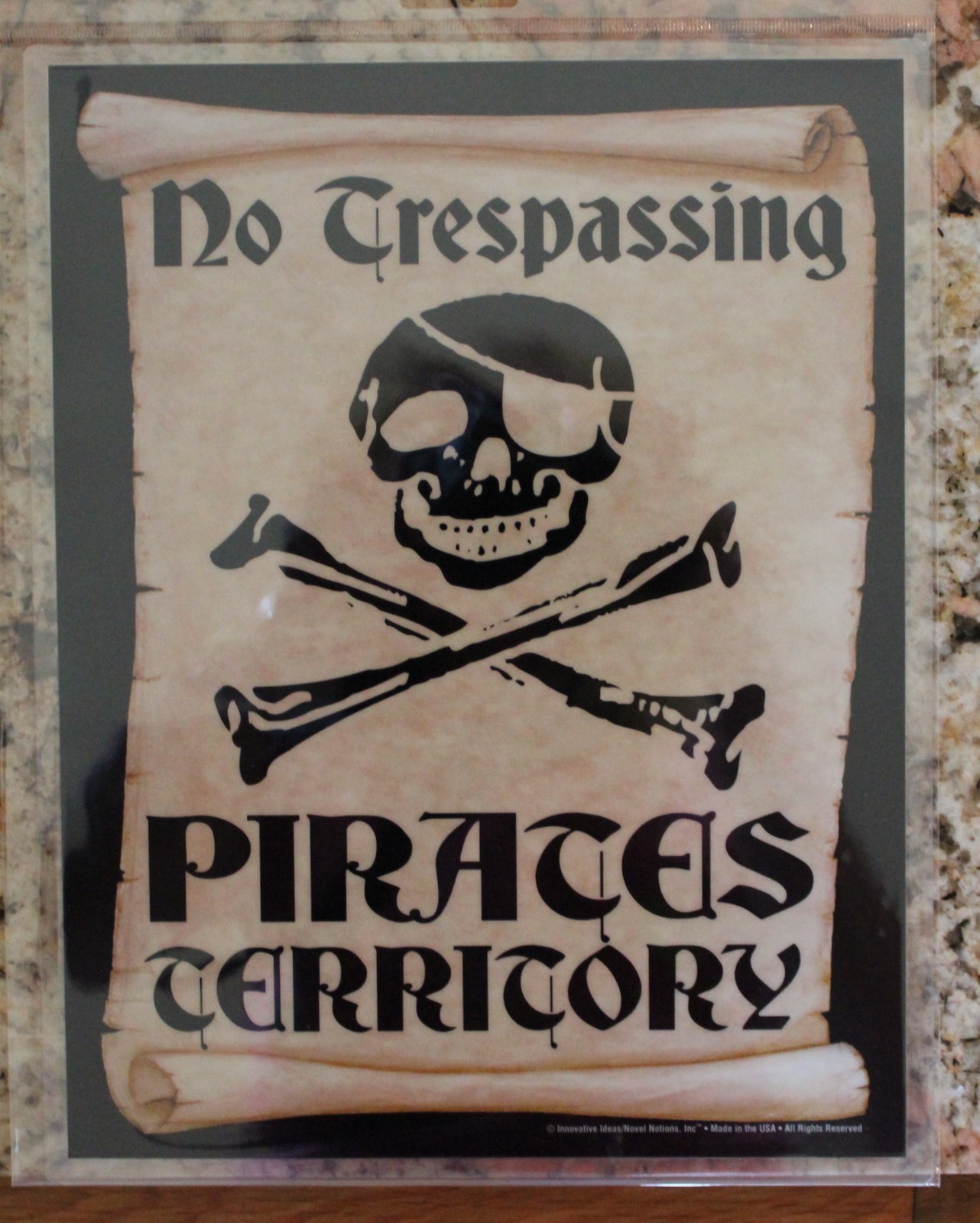 No Trepassing Jolly Roger Sign Pirates Man Cave Garage Decor Pub Wall Hanging