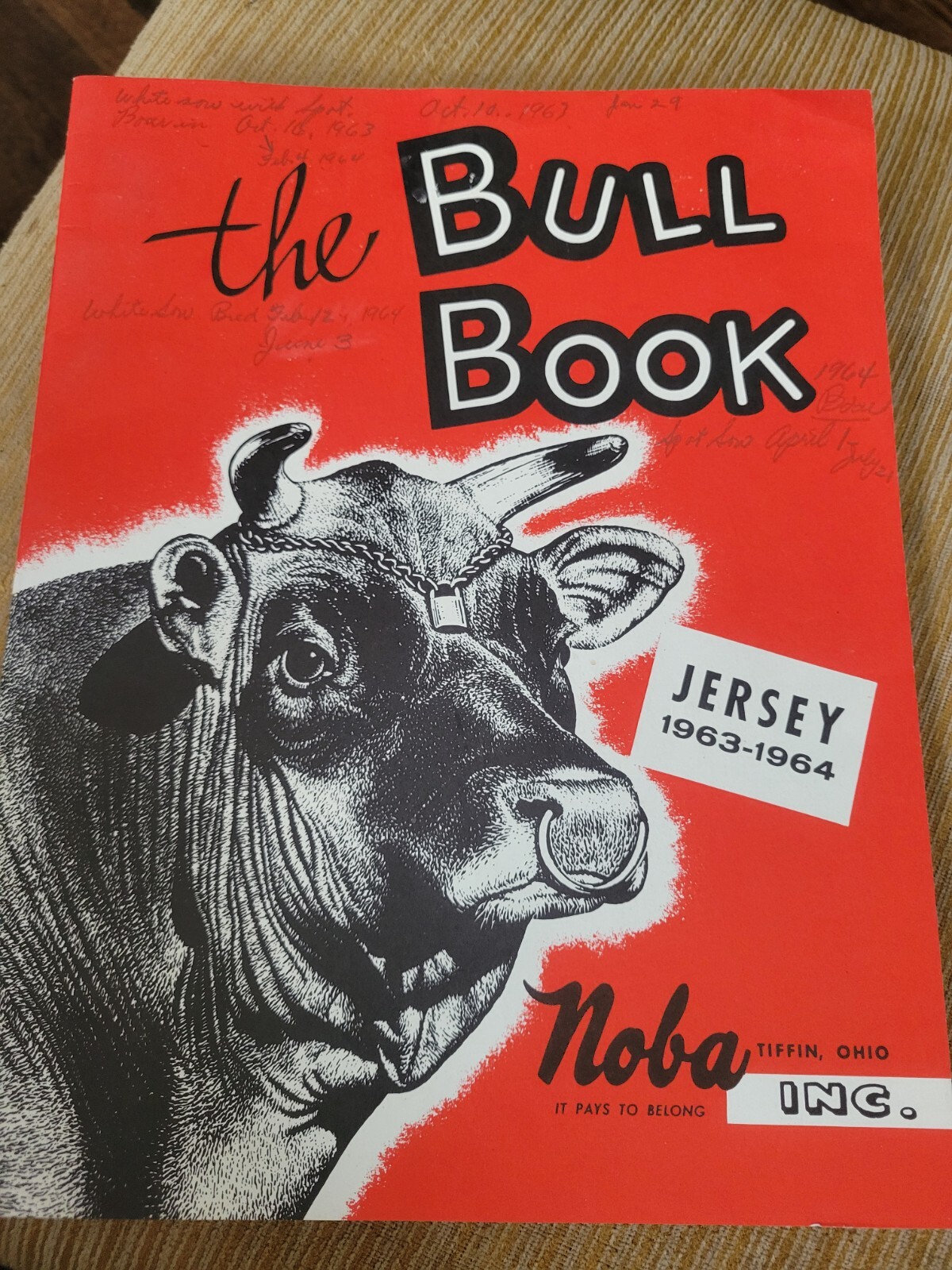 Vintage DAIRY BREEDERS OHIO NOBA holstein jersey guernsey 1960s lot bull sign