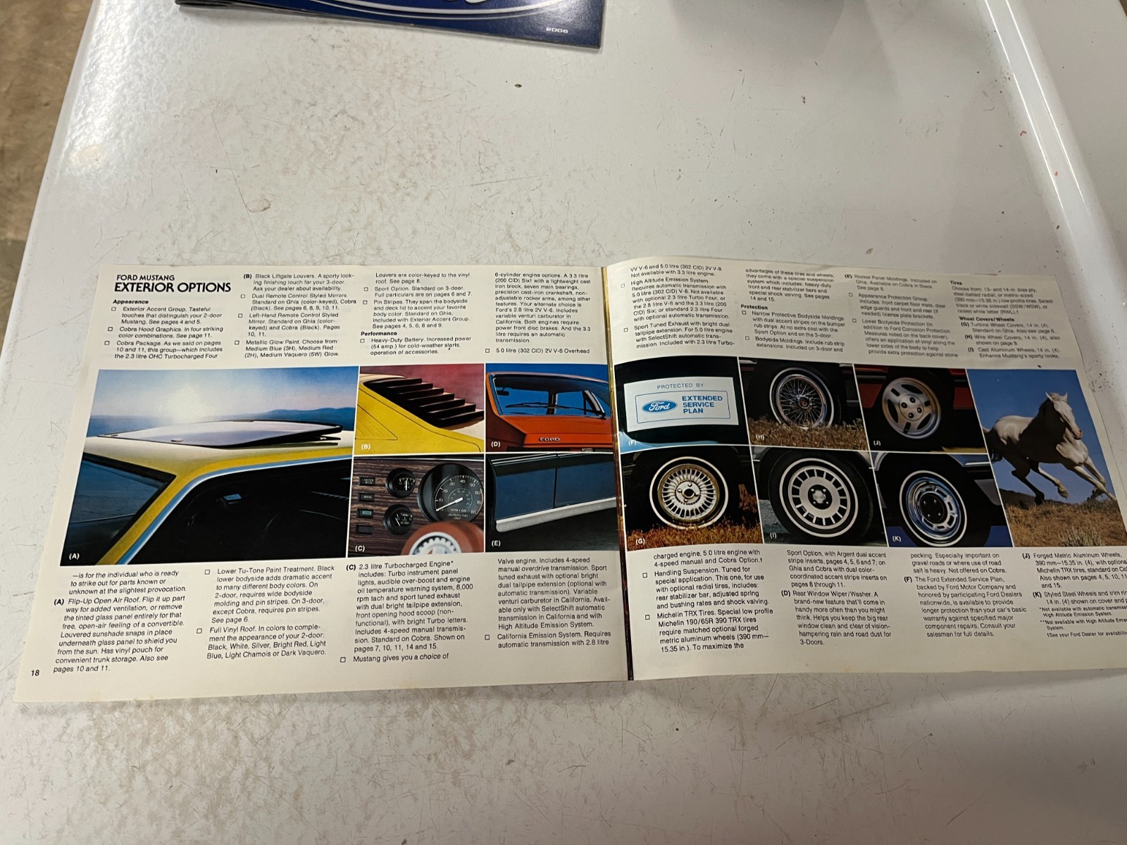 1979 Ford Mustang dealership Promo Booklet “A Whole New Breed” Cobra Ghia ++++++