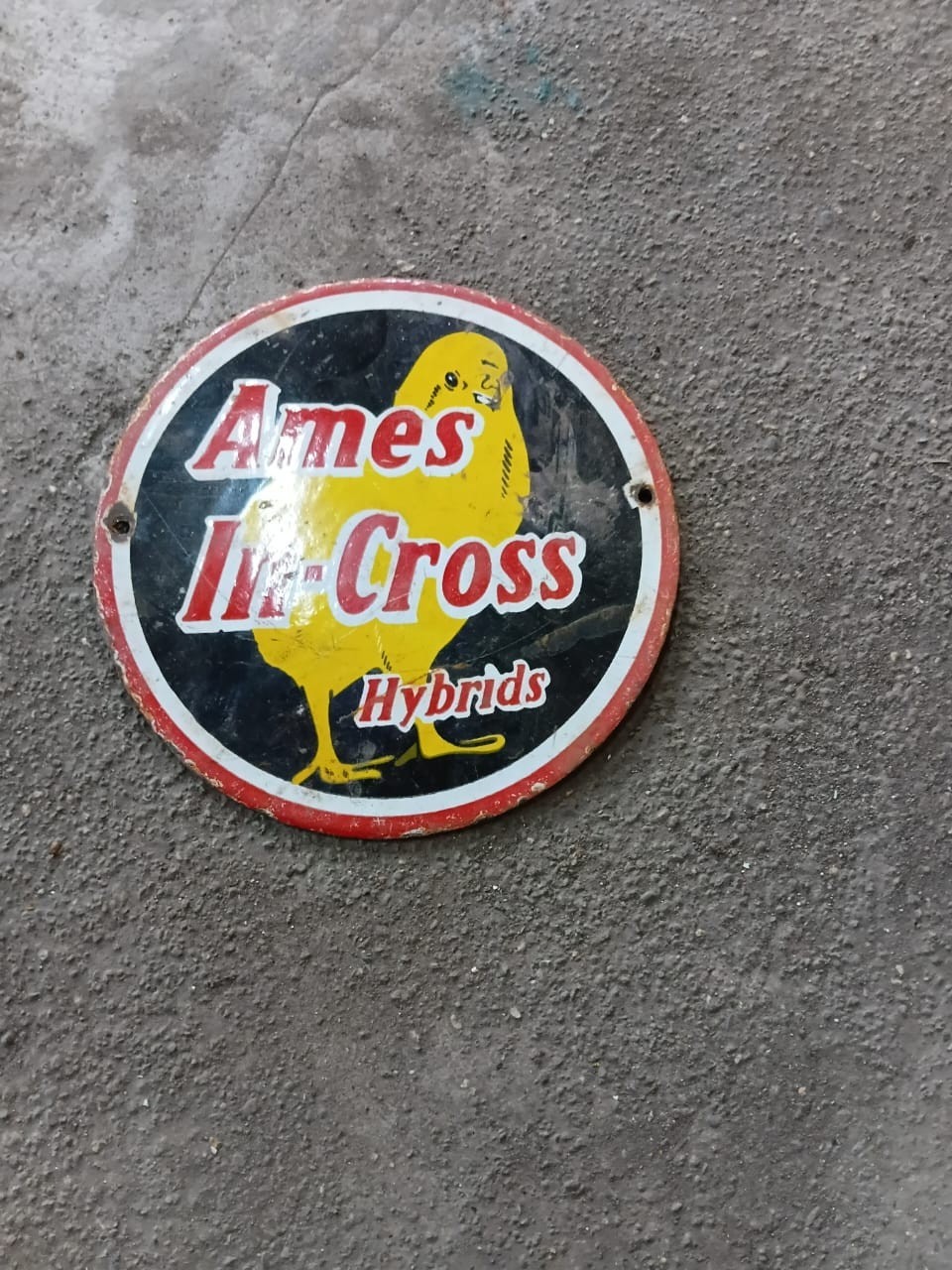 PORCELIAN AMES ENAMEL SIGN SIZE 6X6 INCHES