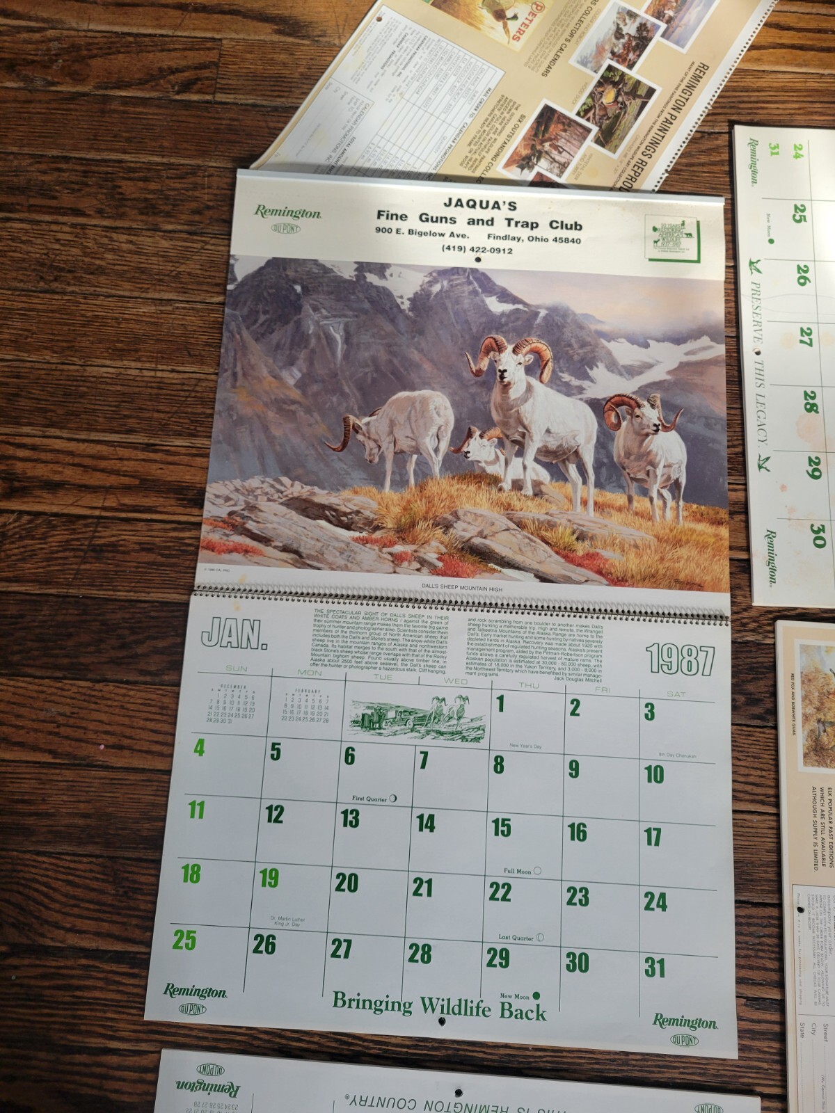 Vintage REMINGTON calendar lot RIFLE target deer moose bear hunting sign