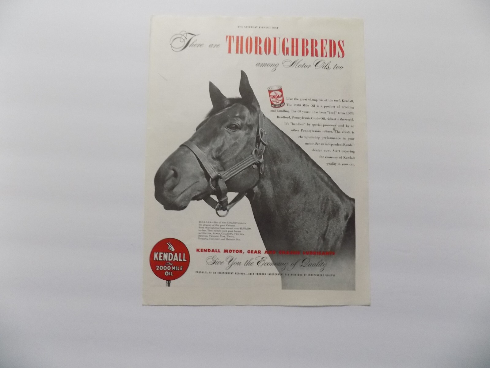 1950 POST PRINT AD KENDALL MOTOR OIL BULL LEA SIRE TO 9 HORSES 1000000 OR MORE