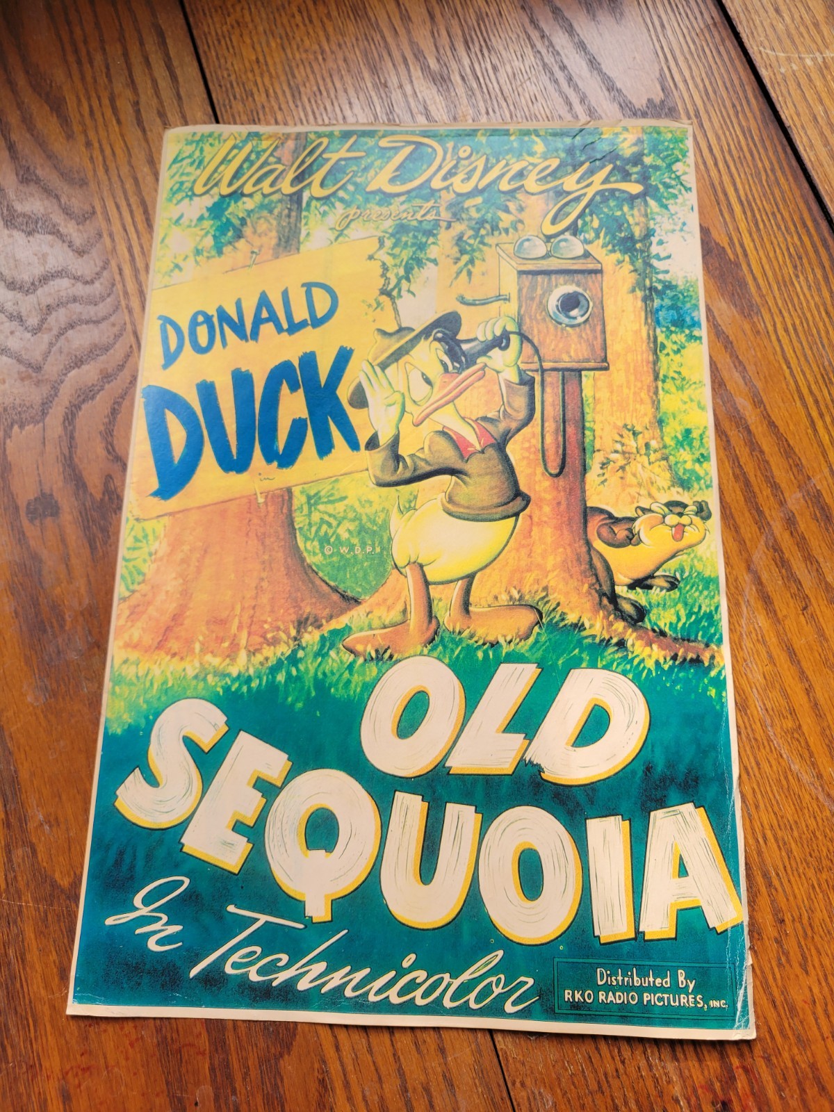 Vintage DISNEY MOVIE Poster cartoon lobby theater room DONALD DUCK camping Park