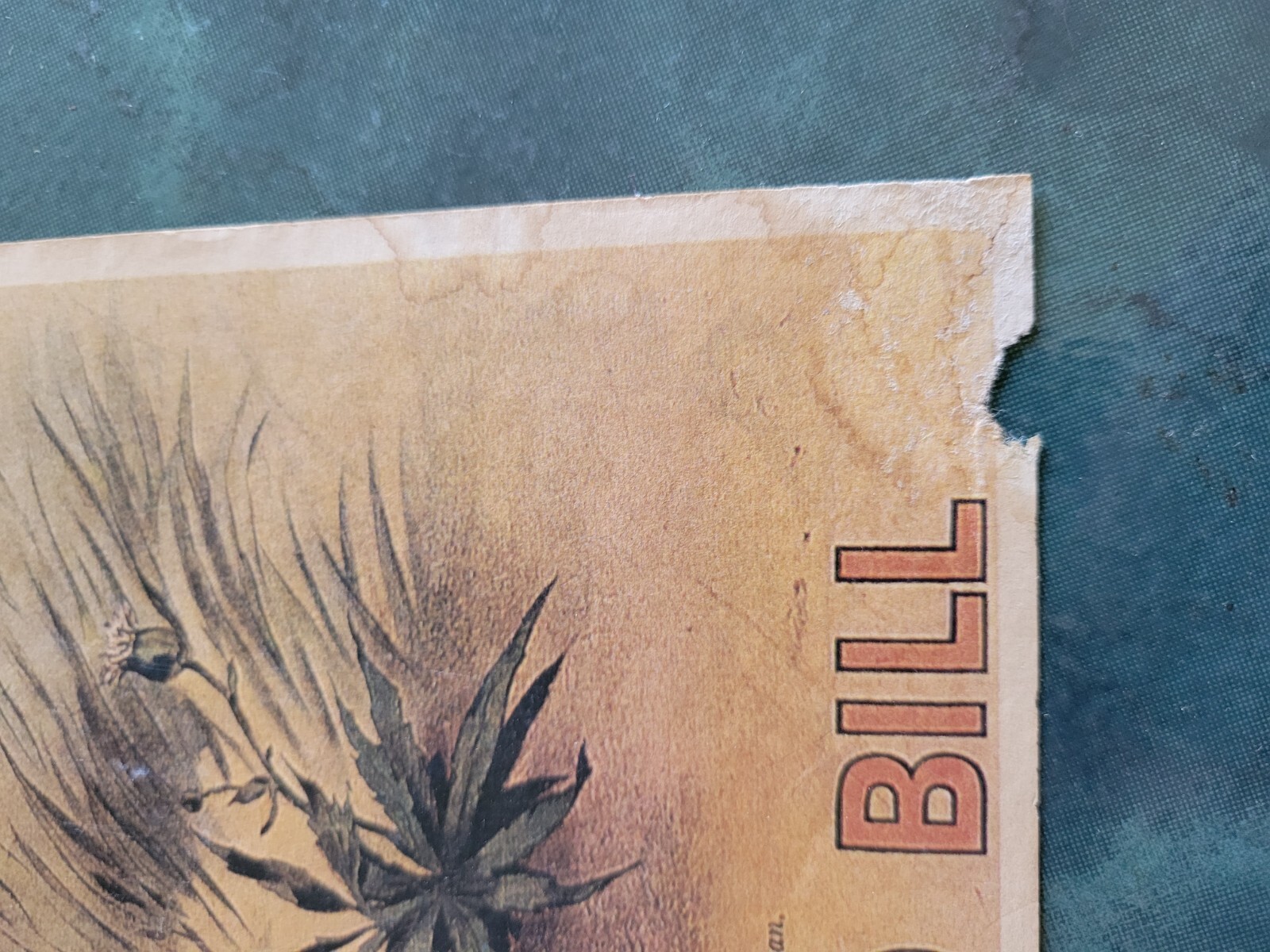 Vintage BUFFALO BILL cowboy western horse rodeo Hunting poster sign