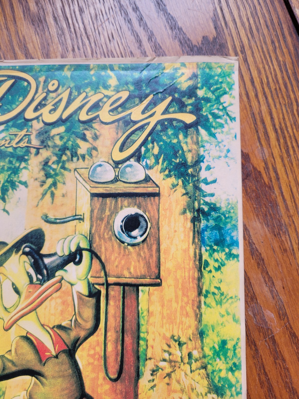 Vintage DISNEY MOVIE Poster cartoon lobby theater room DONALD DUCK camping Park
