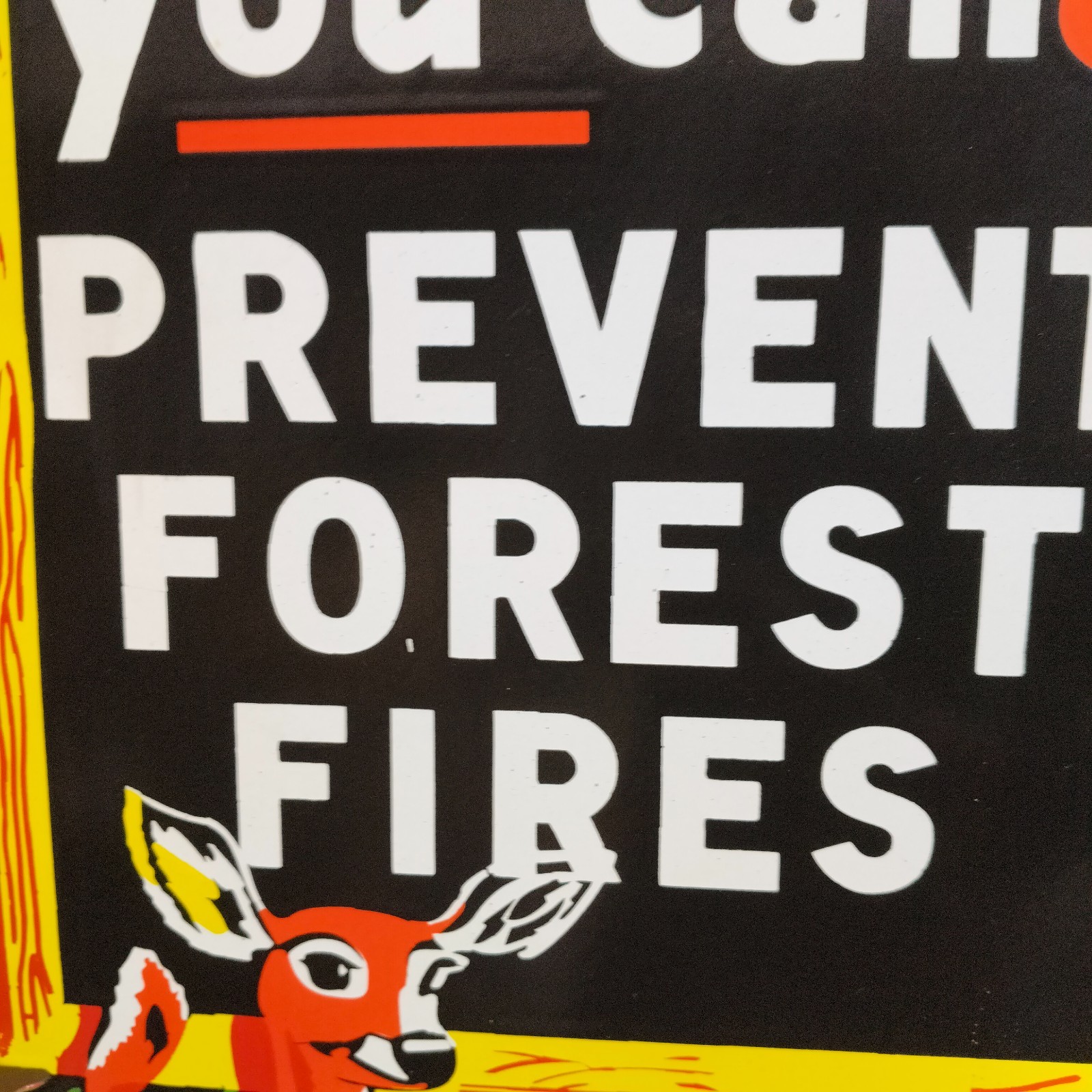 Smokey Prevent Forest Fires Porcelain Enamel Sign 42 x 30 Inches 2 Sided