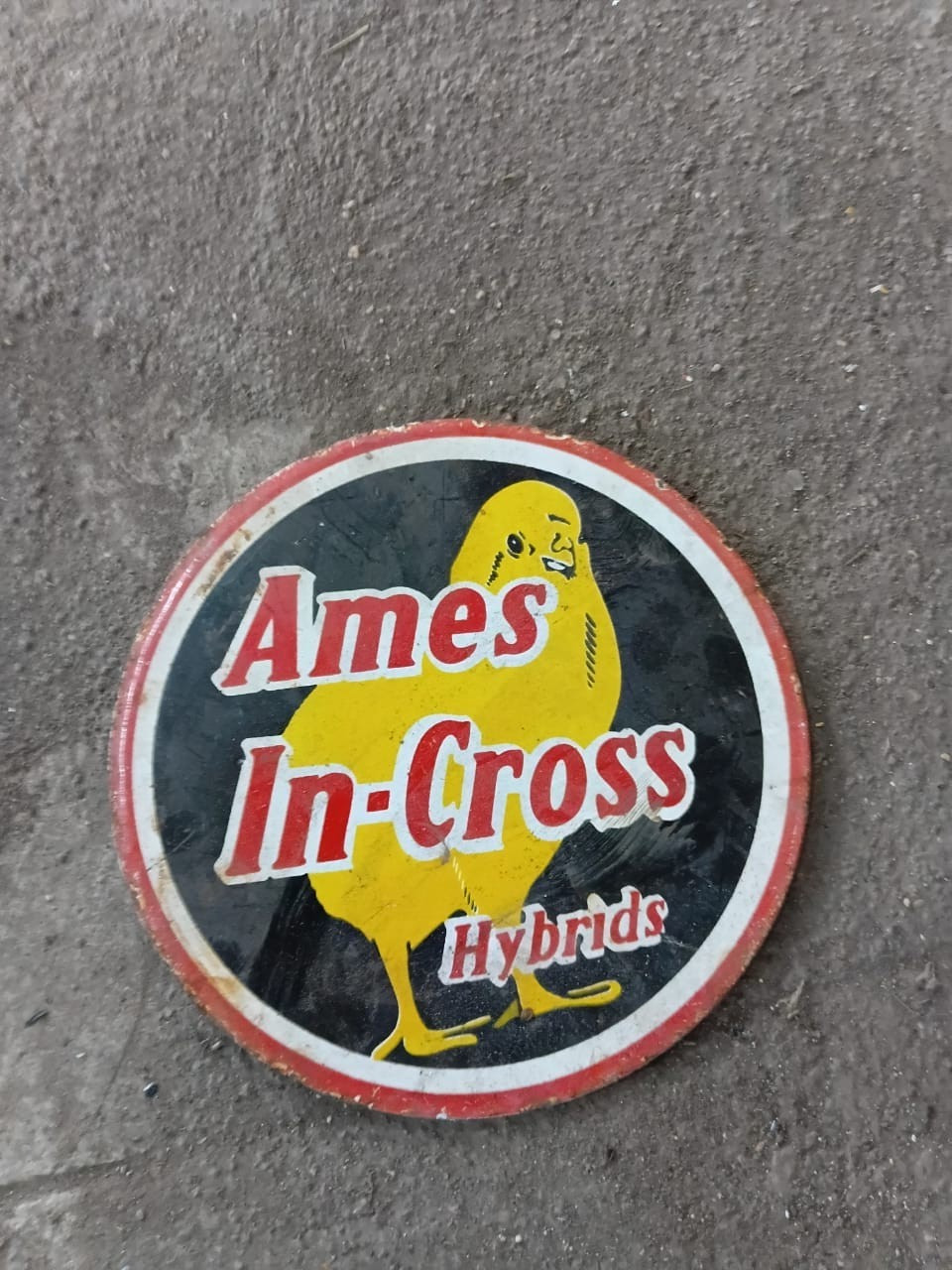 PORCELIAN AMES IN-CROSS ENAMEL SIGN SIZE 6X6 INCHES