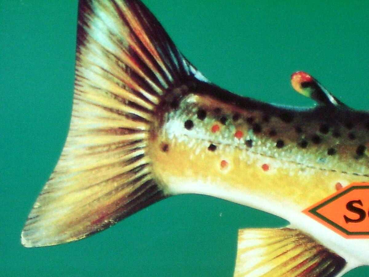 Fish Lures SOUTH BEND QUALITY — Boat & Bait House — BEAUTIFUL — Embossed Sign