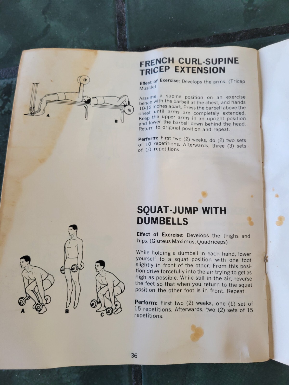 Vintage 60s Ted Williams training booklet sears store foorball