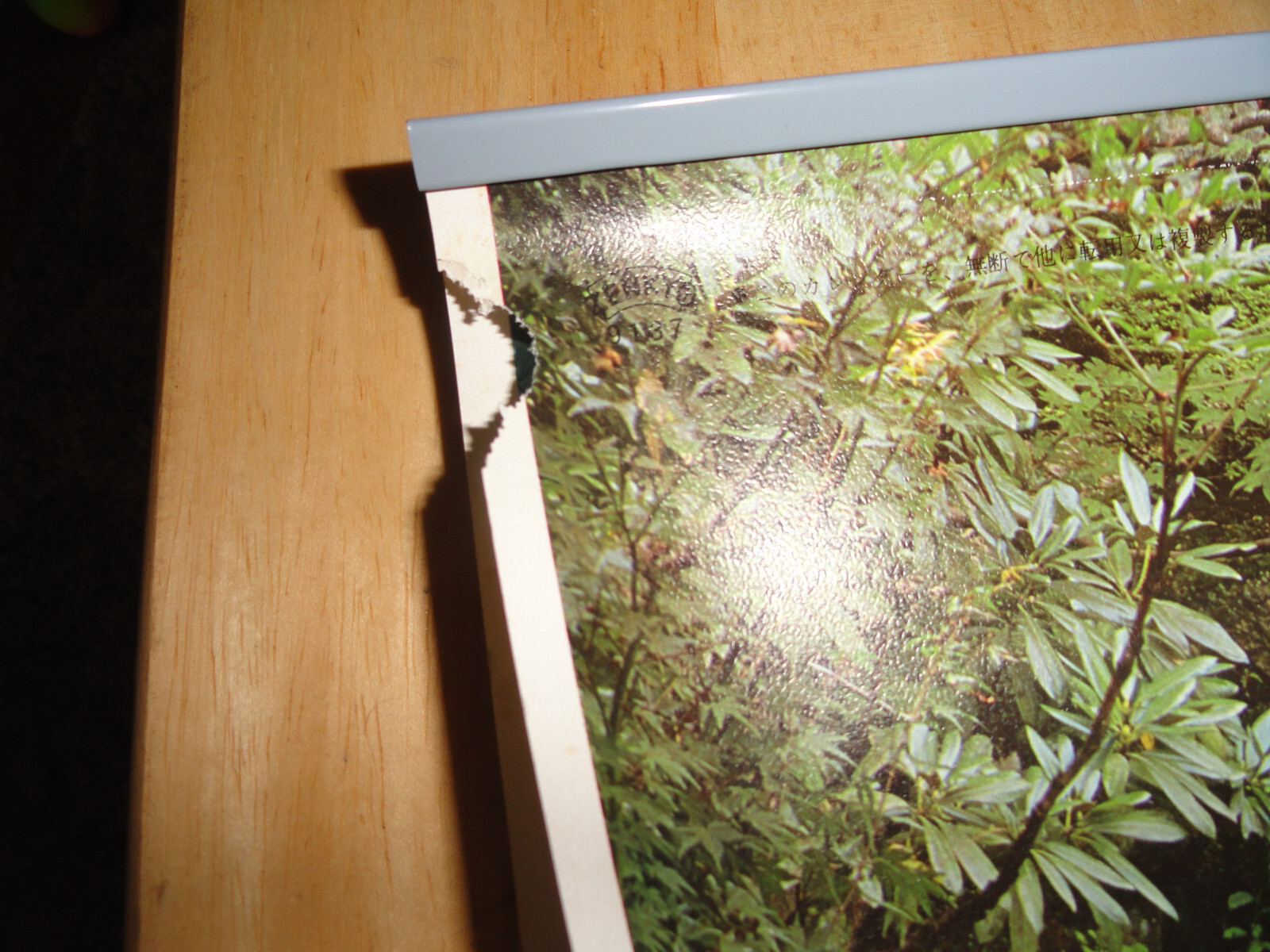 NGK Spark Plugs 1979 Famous Gardens Calendar ~ 23″ x 17″ printed in Japan – dama