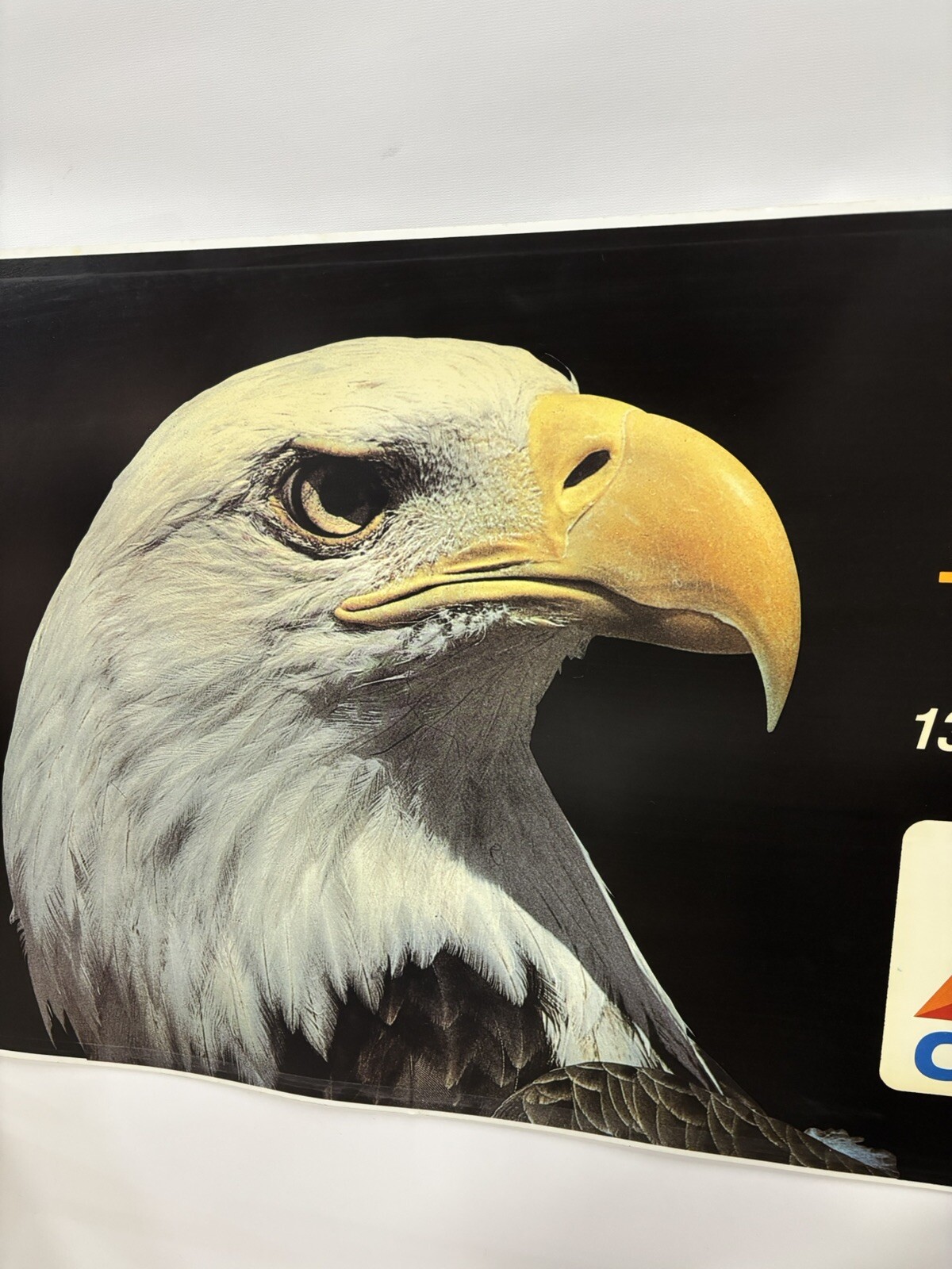 6 Feet Long by 23 in Wide Large Banner Vinyl Citgo Pole Gas Station Sign Poster
