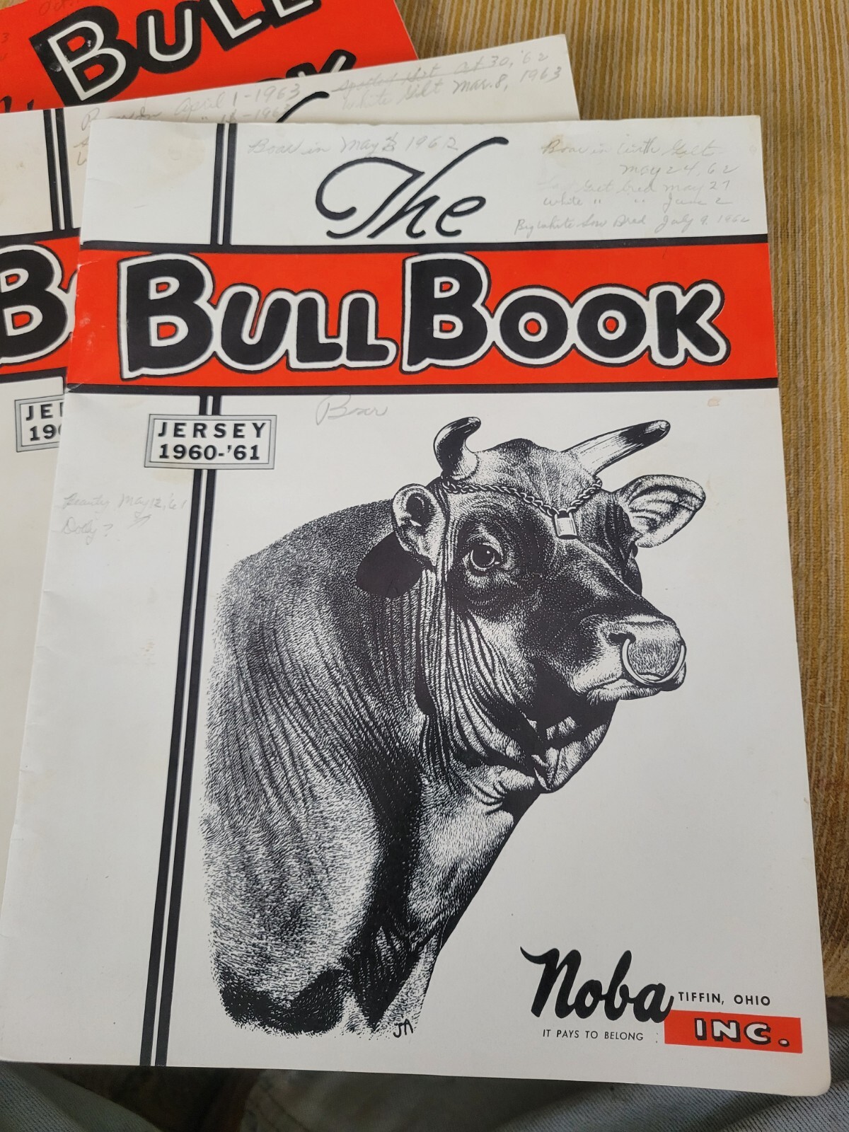 Vintage DAIRY BREEDERS OHIO NOBA holstein jersey guernsey 1960s lot bull sign