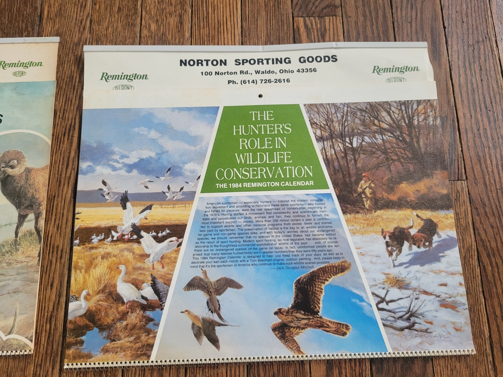 Vintage REMINGTON calendar lot RIFLE target deer moose bear hunting sign